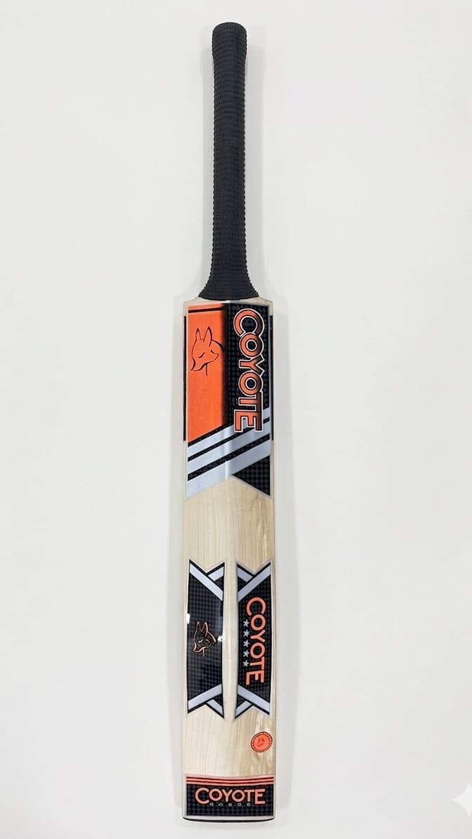 KASHMIR WILLOW BAT
